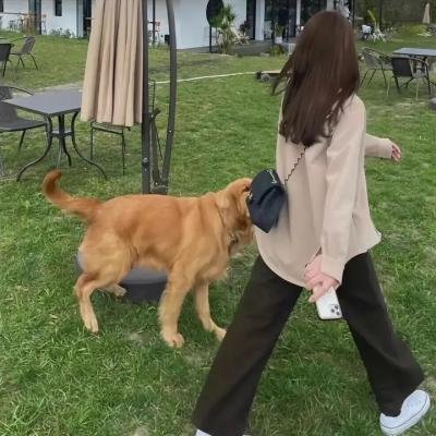 那些爱人